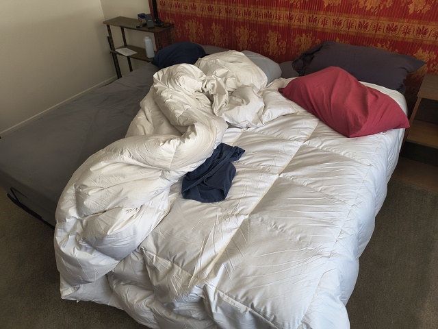 IMG 20250709 152116291 HDR