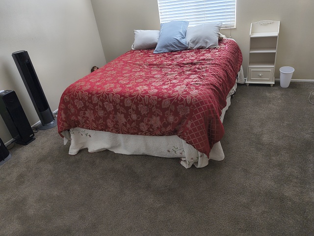 IMG 20250709 152222187 HDR